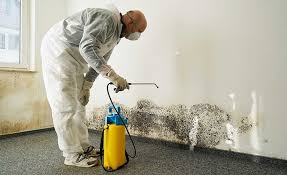 Professional Mold Remediation in Tazewell, VA